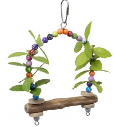 Paradise Swing activity toy