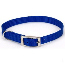 5/8 inch x 12 inch Blue Nylon Collar Blue