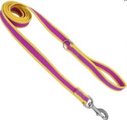 Coastal Pet Reflective Harness 6ft Purple