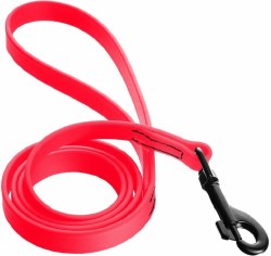 Coastal Pet Pro Waterproof Leash 1inch x 6ft Fucia