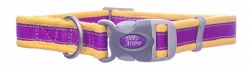 Coastal Pet Pro Adjustable Reflective Collar 14in. Purple Yellow