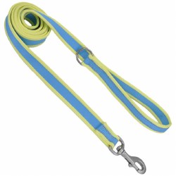 Nylon Leash 3/4 inch x 6ft Aqua