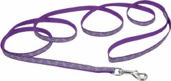 Reflective 5/8 inch Purple Daisy Leash