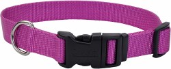 Coastal Pet Tuff Collar 3/4 inch x 14-20 inch Collar Orchid