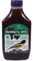 Song Bird Essentials BirdBerry Oriole Jelly 20oz