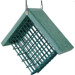 Audubon Going Green Recycled Plastic Suet Feeder, Green, 1 Cake Capacity