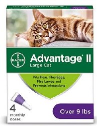 Bayer Advantage II Large Cats over 9 lbs 2 Month Supply
