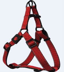 5/8 inch  x 18-25 inch Martini Harness Red