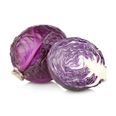 Head of Cabbage, Red