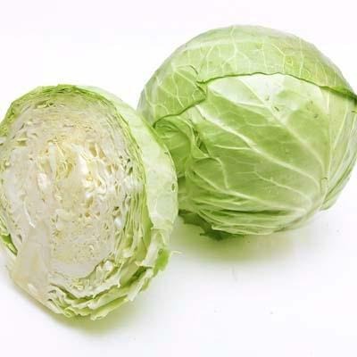Head of Cabbage, White