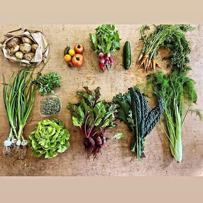 Summer CSA (20 Weeks) - Medium Size Share With Holiday Break - Full Payment 5% Discount