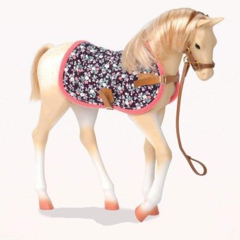 OUR GEN PALOMINO FOAL