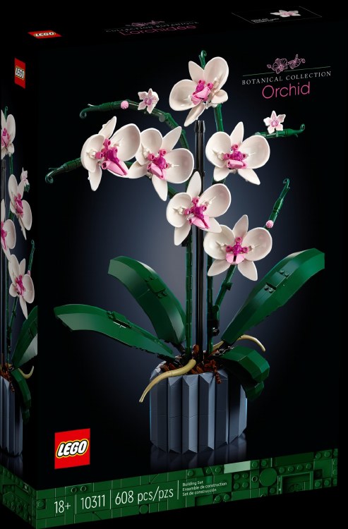 10311  ORCHID PLANT &amp; FLOWERS