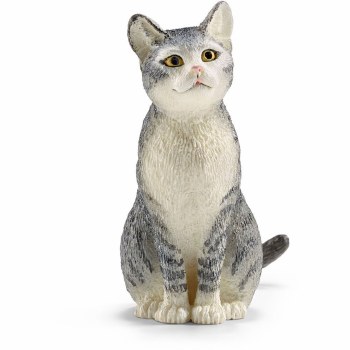 13771 SH CAT SITTING