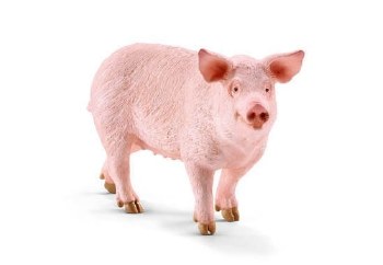 13782 SCH PIG