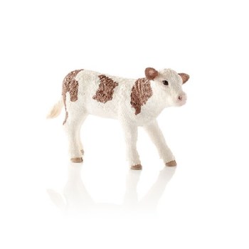 13802 SCH SIMMENTAL CALF