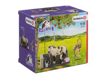 42104 SCH HORSE WASH AREA