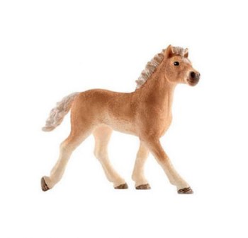 13814 SCH HAFLINGER FOAL
