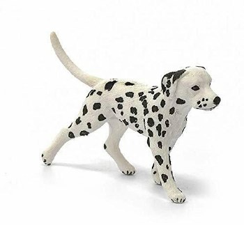 16838 SCH DALMATIAN MALE