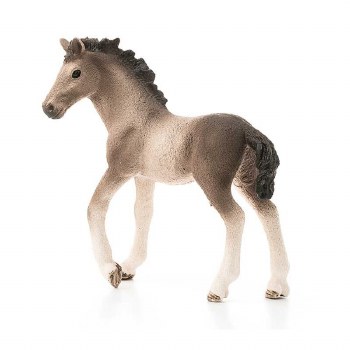 13822 SCH ANDALUSIAN FOAL