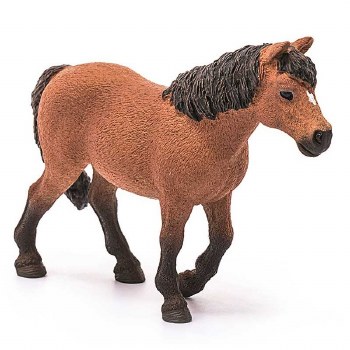 13873 DARTMOOR PONY MARE