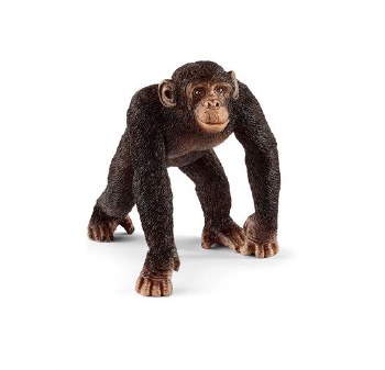 14817 CHIMPANZEE MALE
