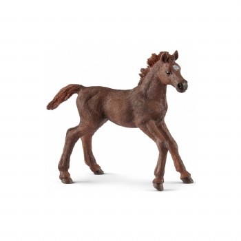 13857 SCH ENGLISH THOROUGHBRED
