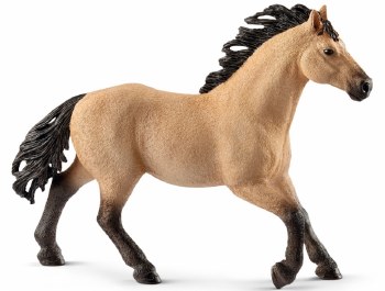 13853 SCH QUARTER HORSE STALLI