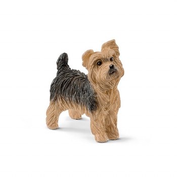 13876 YORKSHIRE TERRIER