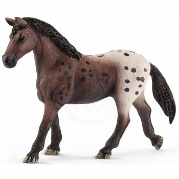 13862 SCH APPALOSSA FOAL
