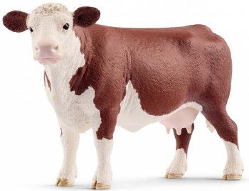 13867 SCH HEREFORD COW