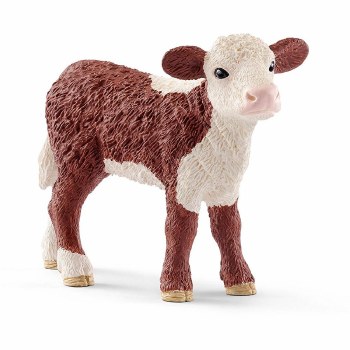 13868 SCH HEREFORD CALF