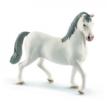 13887 SCH LIPIZZANER STALLION