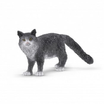 13893 SCH MAINE COON CAT