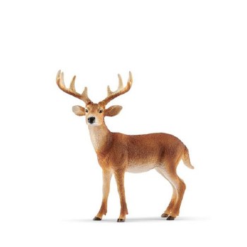 14818 SCH WHITE-TAILED BUCK
