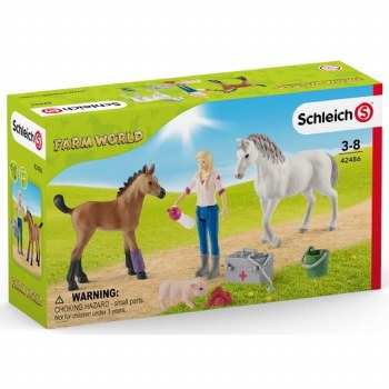 42486 SCH VET VISTING MARE