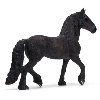 42457 SCH FRISIAN STALLION RID