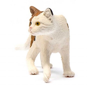 13894 SCH AMERICAN SHORTHAIR