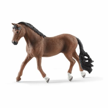 13909 SCH TRAKEHNER GELDING