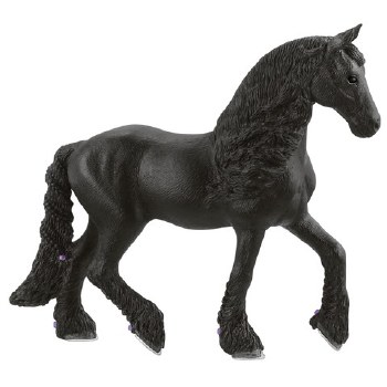 13897 SCH BLACK FOREST STALLIO
