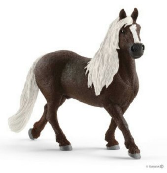 13898 SCH BLACK FOREST MARE
