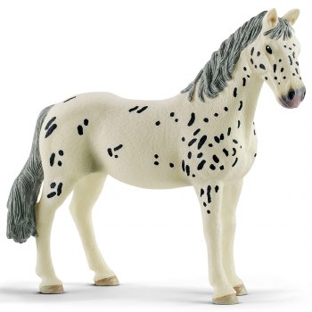 13910 SCH KNABSTRUPPER MARE