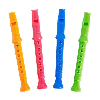 RECORDER IN COLOUR BOX