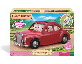 5448 FAMILY CRUSING CAR