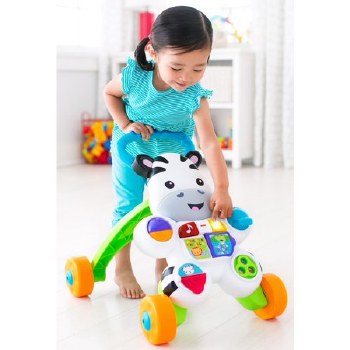 FP ZEBRA WALKER