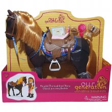 OUR GEN THOROUGHBRED HORSE