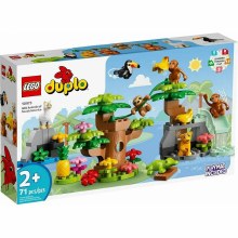 10973 WILD ANIMALS OF SOUTH