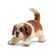 SH ST BERNARD PUPPY