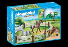 6931 HORSE PADDOCK