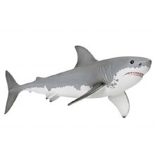 14809 GREAT WHITE SHARK